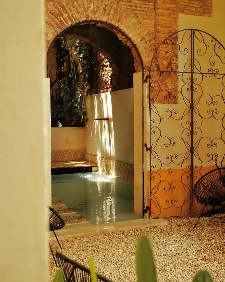 מלון דירות סנטו דומינגו Fixie Lofts - Colonial Villa Suites With Pool הרפובליקה הדומיניקנית
